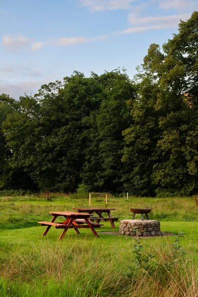 Picnic benches with scenic views