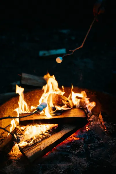 Smores